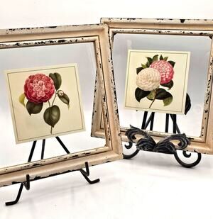 Set Of 2 Botanical Floral Prints Distressed Shabby Chic Camellia Framed Art